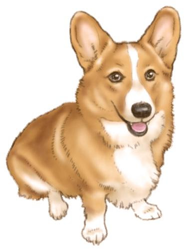 無料でダウンロード コーギー イラスト コーギー イラスト 書き方 Okepict72ph