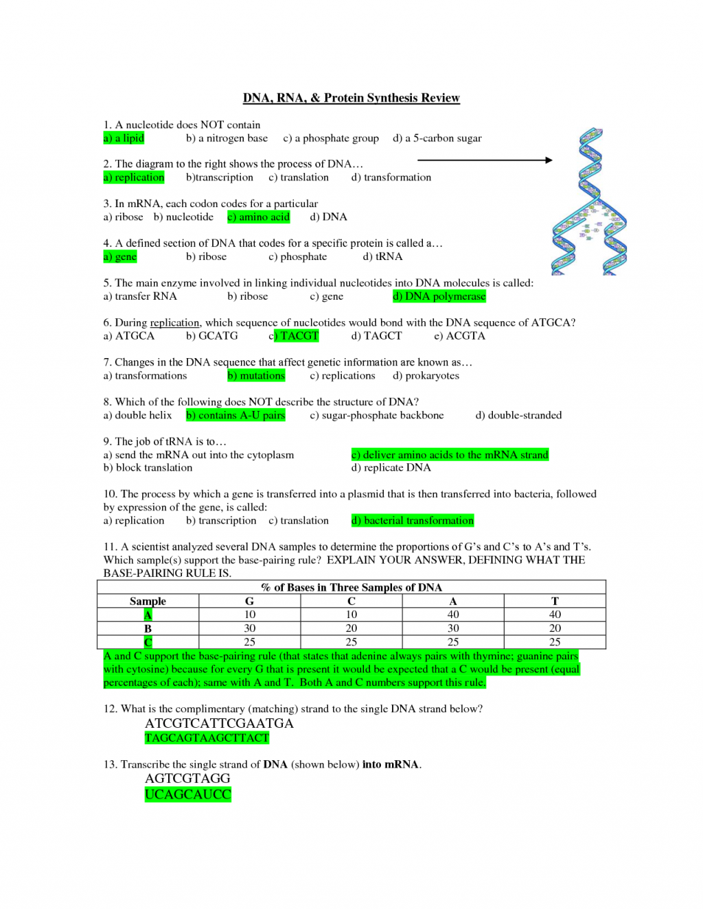 29 Rna And Protein Synthesis Gizmo Worksheet Answers ...