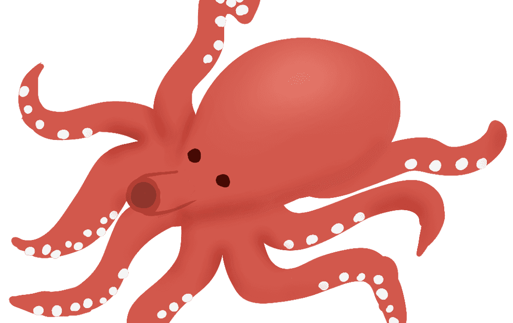 最新かわいい たこ イラスト フリー 動物画像のすべて