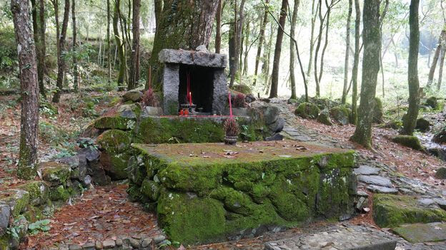 The Han consider feng shui forests to be sacred and many contain incense-decorated shrines to the Earth gods (Credit: Credit: Chris Coggins)