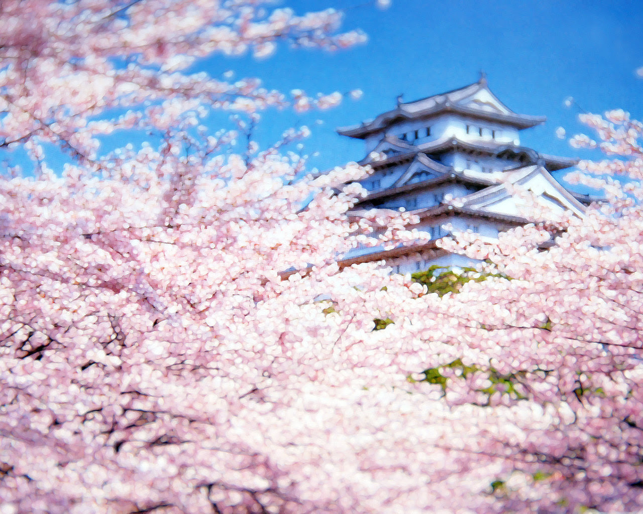 無料ダウンロード春 壁紙 高画質 最高の花の画像