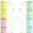 Tabela Da Copa Do Brasil Hoje - SPORT-MANIAKOS: Tabela da copa do Brasil divulgada! - Os dias e horários (de brasília) de todos os jogos, confrontos, resultados e classificação até o final da copa da rússia.