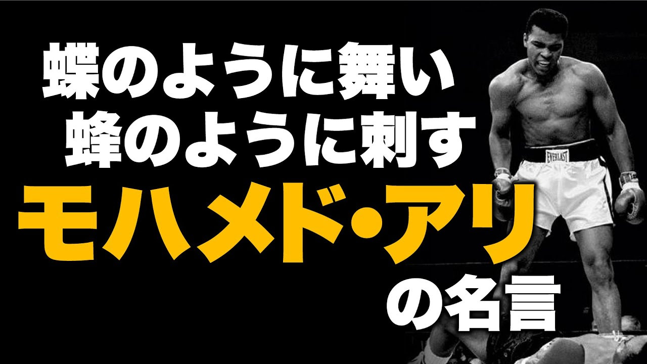 最高の壁紙hd 最高 50 モハメド アリ 名言 英語