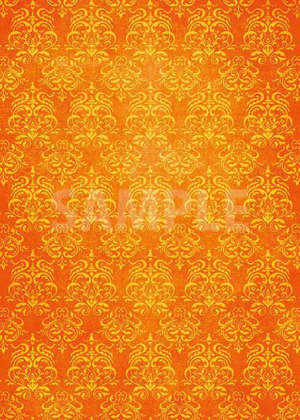 綺麗な100 オレンジ 壁紙 最高の花の画像