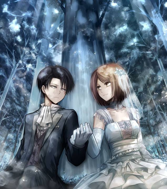 Attack on titan levi live wallpaper creator: Attack On Titan Levi Petra Illusiondolls Fan Art 36689825 Fanpop