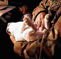 Holding a Large Rabbit