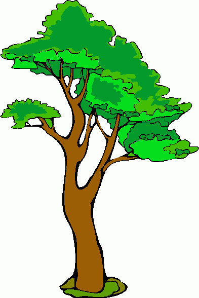 Gambar Pohon Untuk Psikotes Dan Artinya