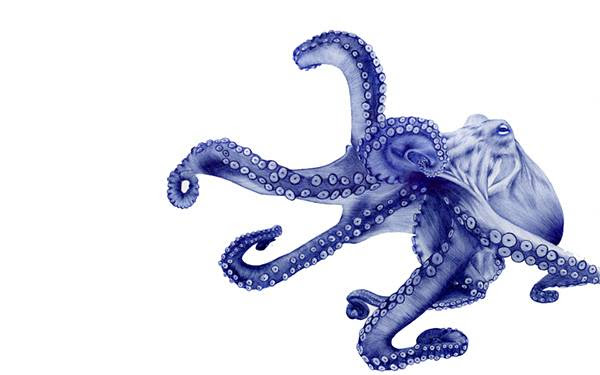 25 タコ イラスト リアル ここで最高の画像コレクション