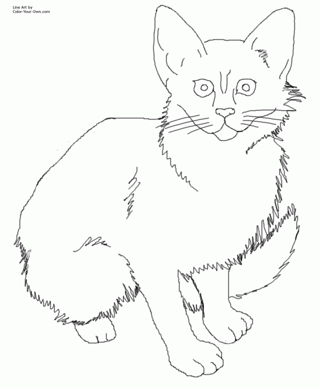Coloring pages pusheen and food. Free Big Cat Coloring Pages Download Free Big Cat Coloring Pages Png Images Free Cliparts On Clipart Library