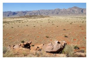 fairy_circle_namib.jpg