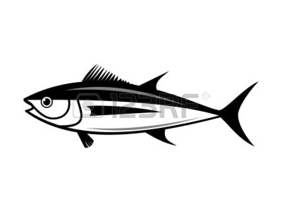  Gambar  Kartun  Ikan  Tenggiri  Seribu Animasi