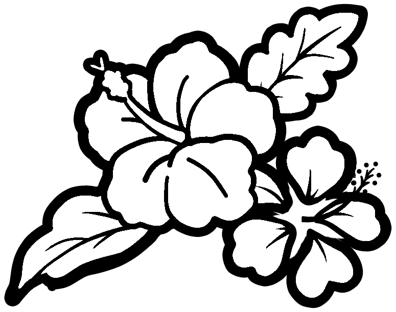 美しい花の画像 Hd限定ハイビスカス イラスト 白黒