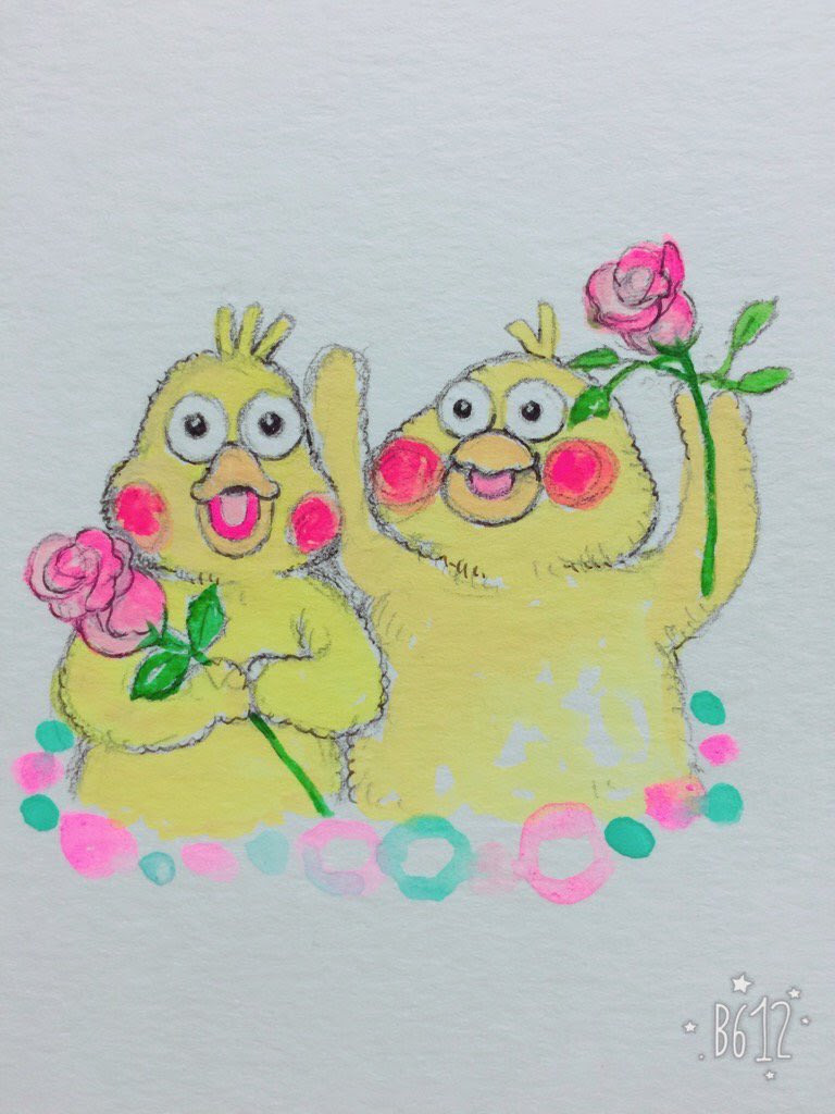 これまでで最高のかわいい ポインコ 壁紙 最高の花の画像