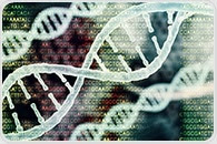 New way to trace the transmission histories of rare genetic diseases