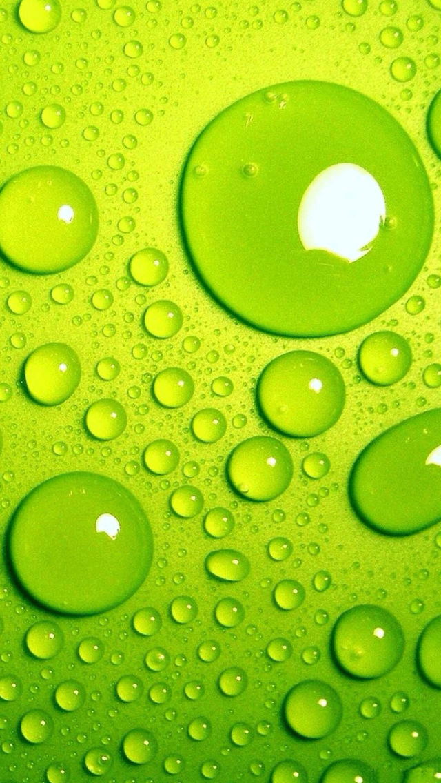 驚くばかりgreeeen 壁紙 Pc ただ壁紙hd