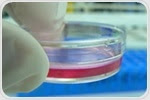 Molecular biologists identify gene that puts brakes on tissue growth