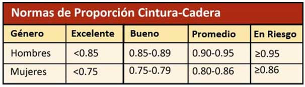 Normas de Proporcion