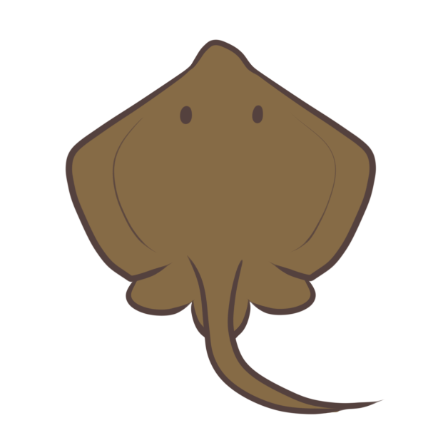 エイ 赤ちゃん かわいい Kasword