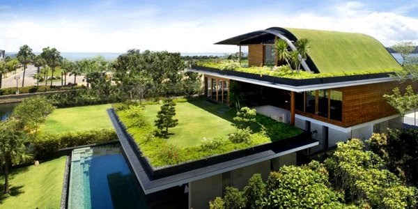 Gambar Desain  Taman  Diatas Atap  Rumah  Zee