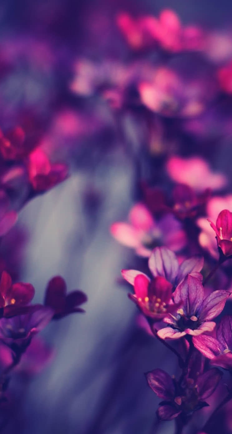 ベスト50 ピンク 花 壁紙 シンプル 最高の花の画像