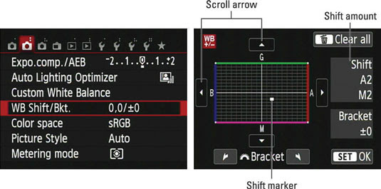 Image result for white balance canon screen