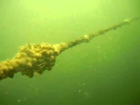 Barhun: Try Homemade boat mooring whips