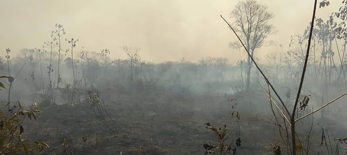 fogo_amazonia_foto_corpo_bombeiros_rondonia4.jpg