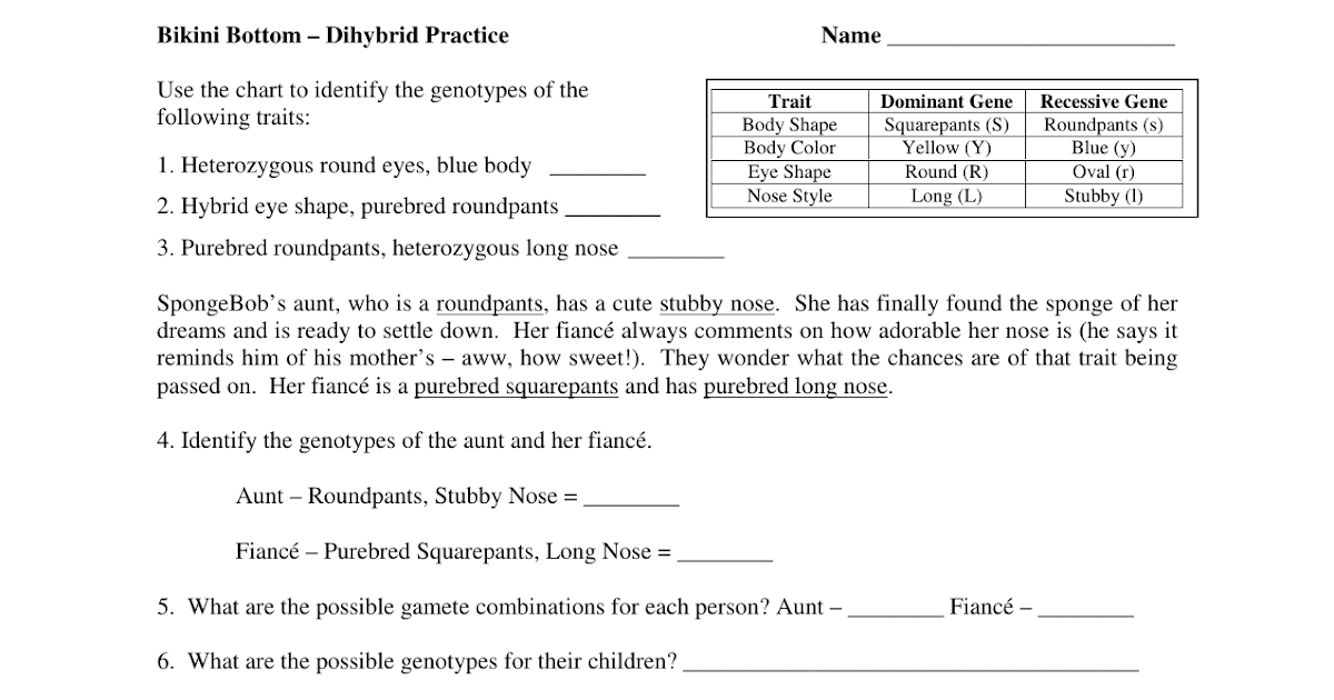 spongebob: Spongebob Genetics Quiz Answer Key