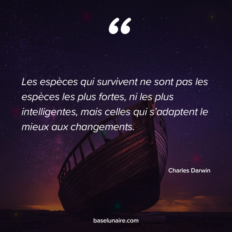Citation Sur Le Travail