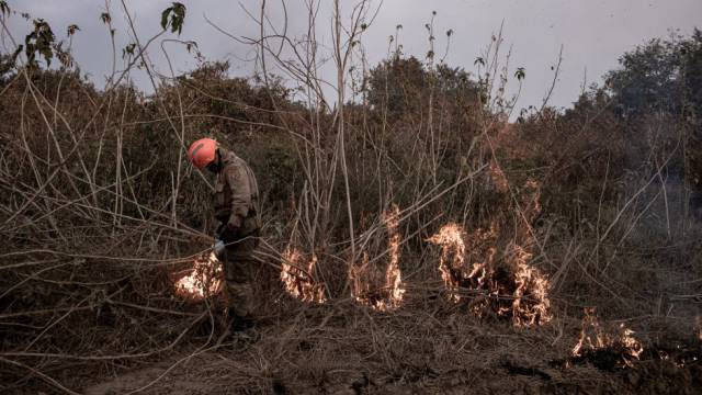 Fogo contra fogo no Pantanal