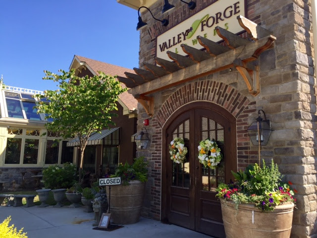 Check spelling or type a new query. Wayne S Valley Forge Flowers To Sprout Another Shoot The Cottage Savvy Mainline
