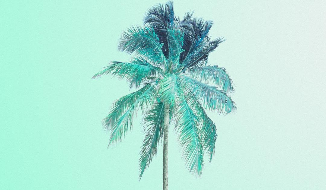 Paling Bagus 16 Wallpaper Warna Hijau  Pastel  Richa 