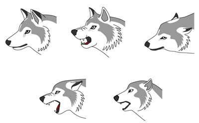 動物画像無料 ベスト50 狼 イラスト かっこいい 簡単