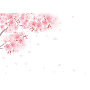 Jpsaepictbr2v 壁紙 桜吹雪 イラスト 5298