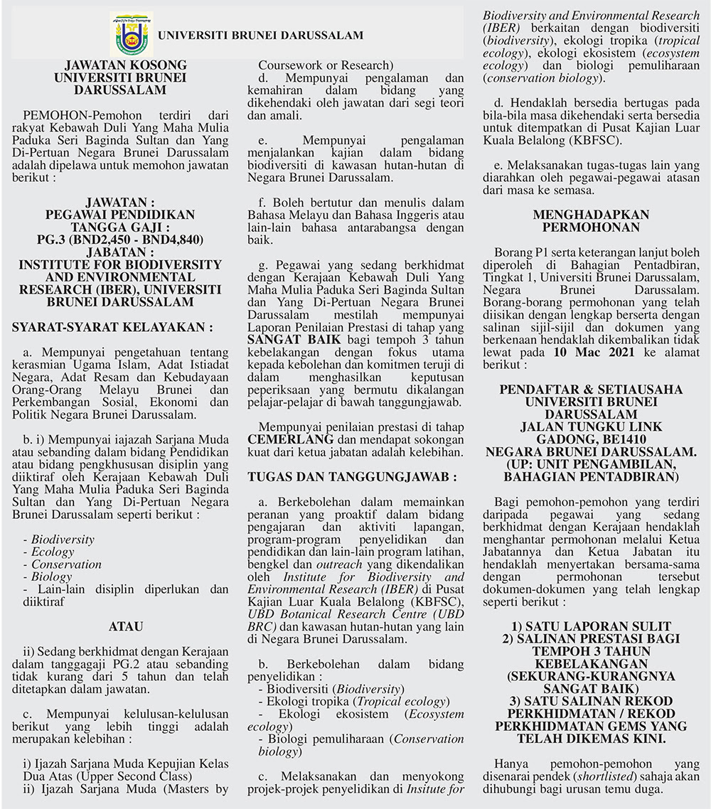 Sesi ramah mesra ketua pengarah pertanian bersama pegawai pertanian g41 lantikan baharu jabatan pertanian tahun 2021. Maksud Kelambu Dalam English