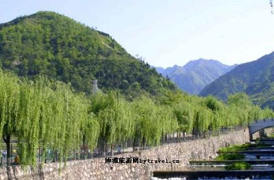 周口五谷台