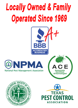 Local home pest control exerts, serving las vegas, nv, the dallas/fort worth metro of tx, and st. Dallas Fort Worth Pest Control Service Company
