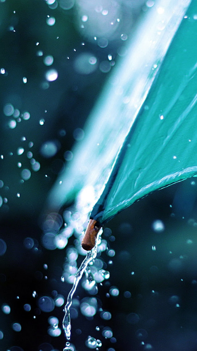 エレガントおしゃれ Iphone 壁紙 雨 最高の花の画像