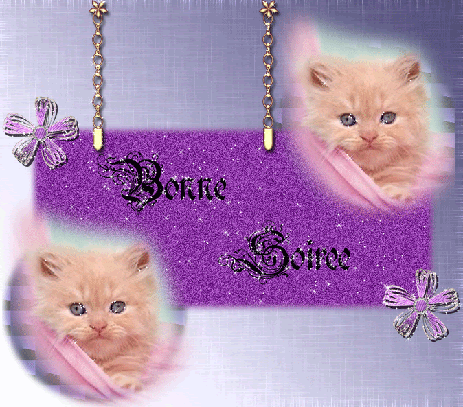 Derniere Gif Anime Chat Bonne Nuit Abdofolio