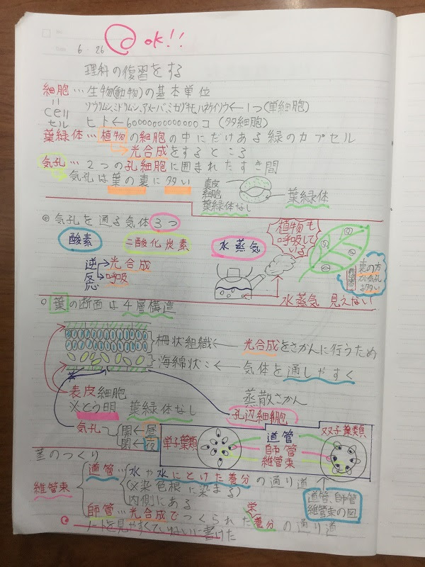 トップ100 中 2 中学生 自学ノート 最高のカラーリングのアイデア