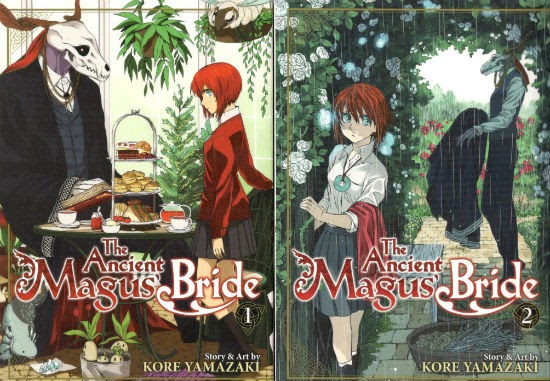 The Ancient Magus Bride Vol 1 2