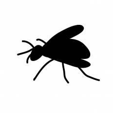 美しい花の画像 50 素晴らしい虫 イラストや