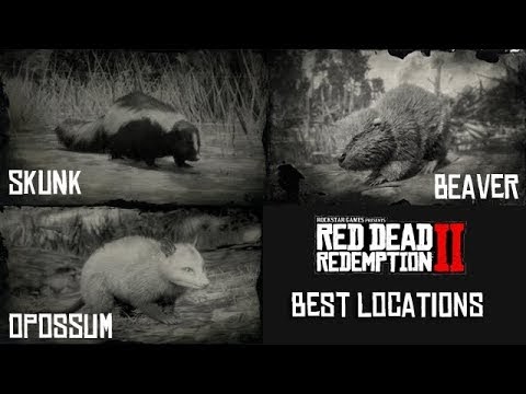 Skunk Look Rdr2 / Red Dead Redemption 2 Rides Onto Pc Packing New Gameplay And Graphics To Die ...