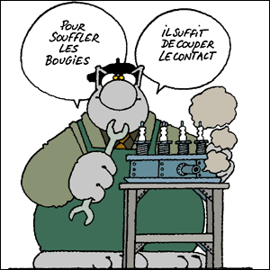 Photograph Anniversaire Le Chat Roselia