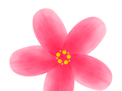 [最も選択された] ピンクの花画像 234278-ピンクの花画像