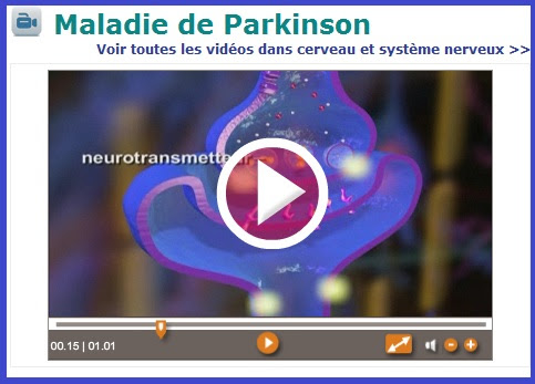 Cancer de la vessie et alimentation: Parkinson et alcool