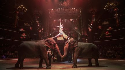 franceinfo junior. Dans les coulisses d'un spectacle de cirque