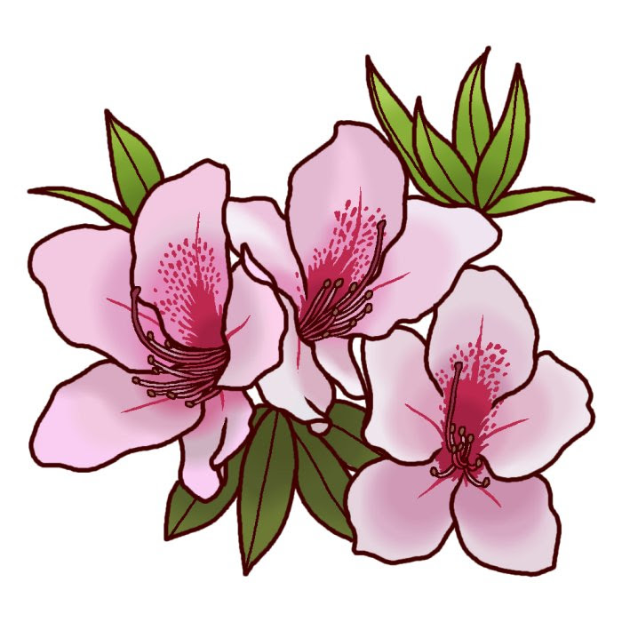 コンプリート つつじ イラスト フリー つつじ 花 イラスト フリー Jpsaepictj3yb