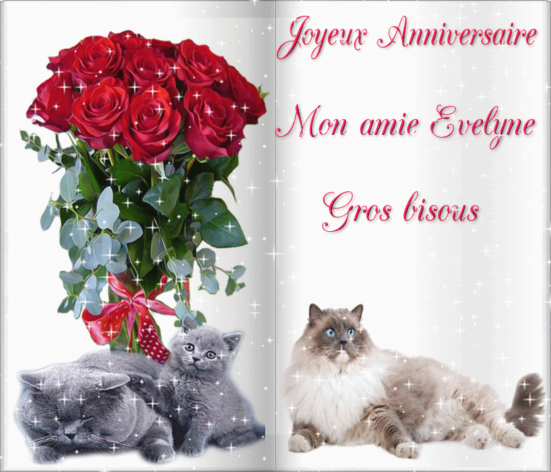 Bonne Anniversaire Means Cordia