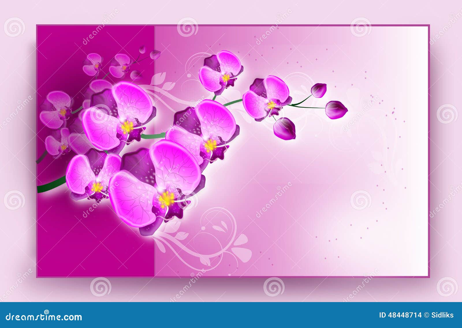 Carte Anniversaire Gratuite Orchidee Tonisha